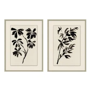 Bamboo Botanicals