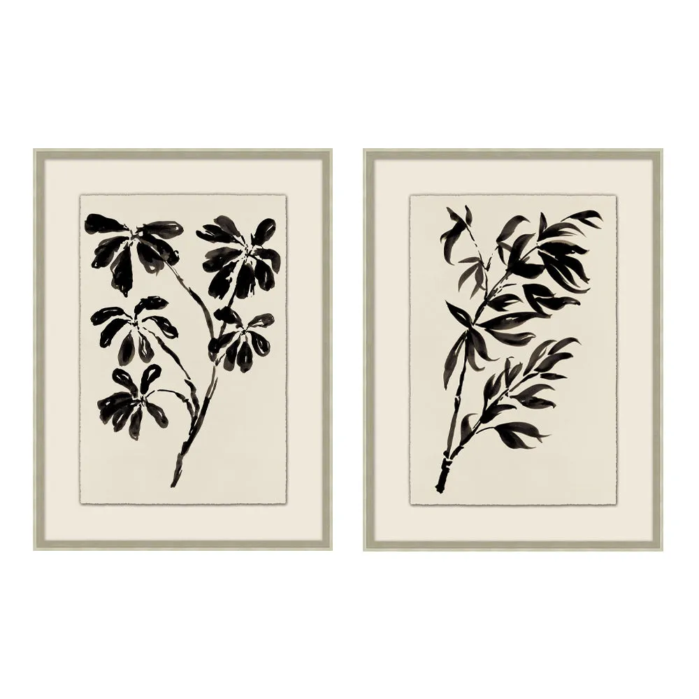Bamboo Botanicals