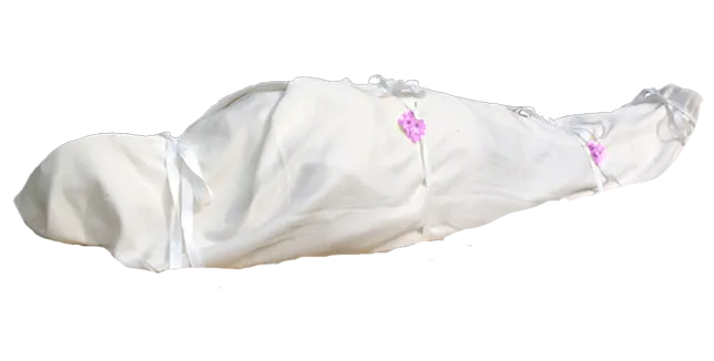 Bamboo Shroud