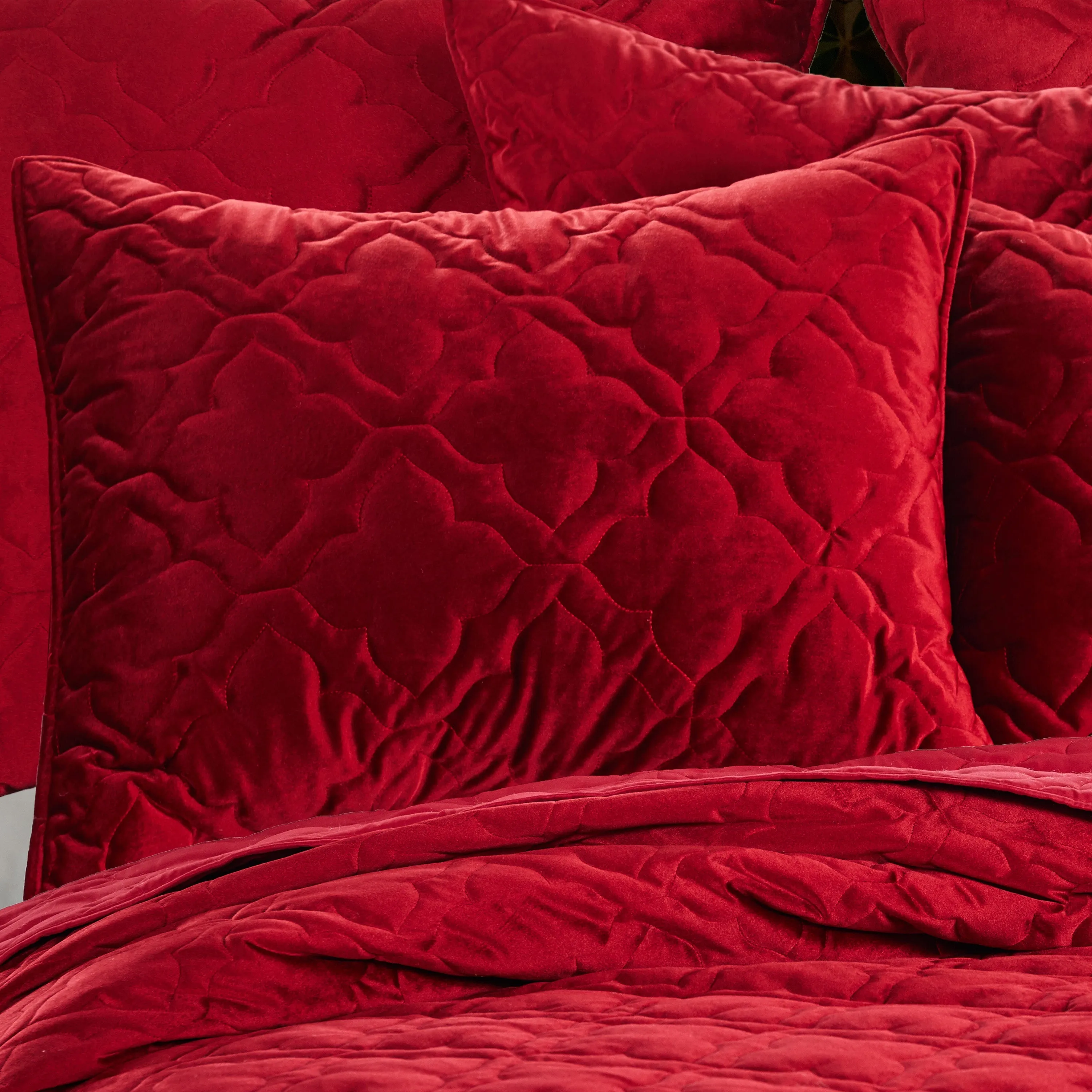 BH Caserta Velvet Red Standard Sham