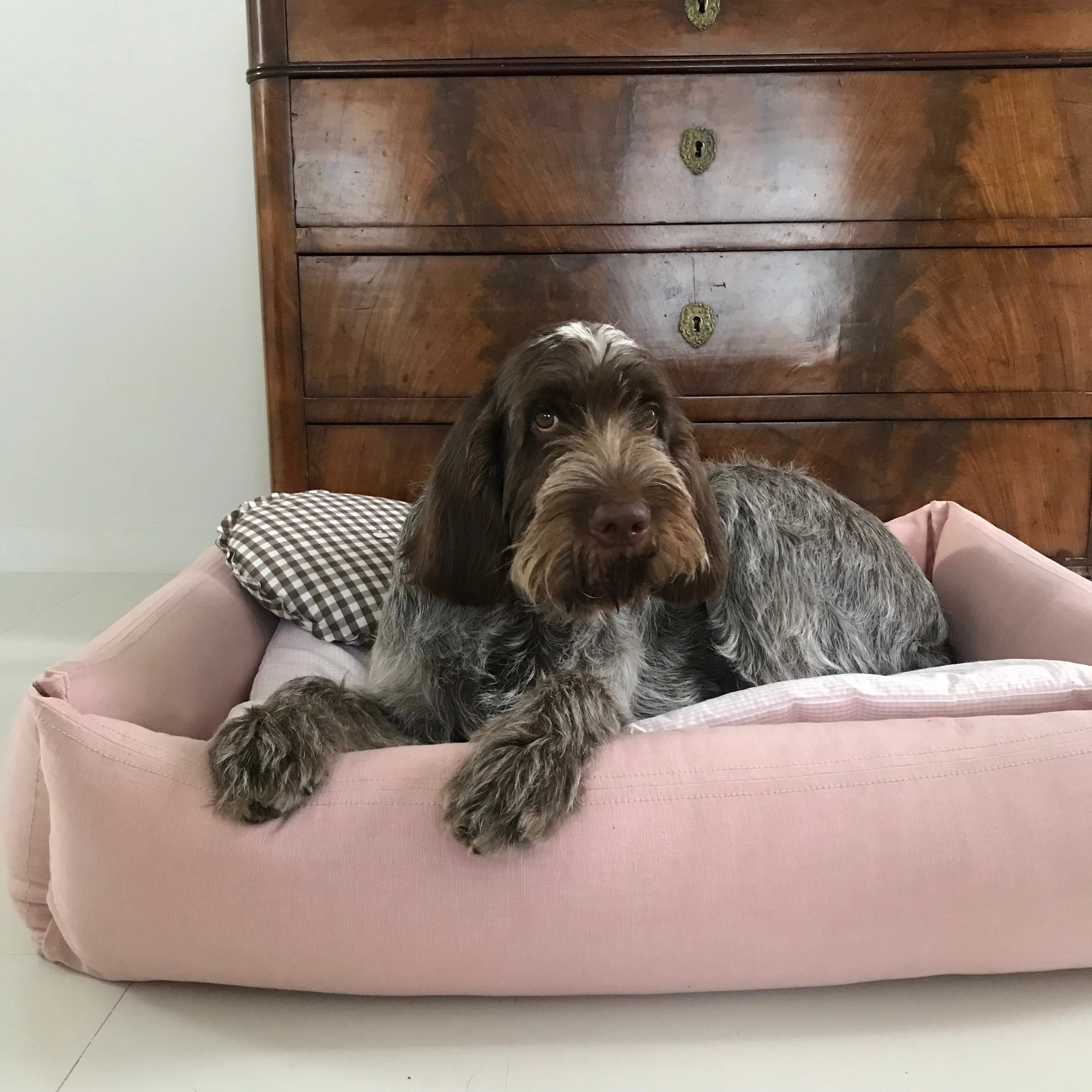Classic Dog Bed