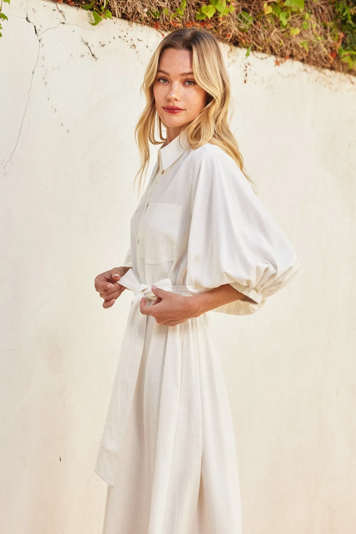 Kathryn Collared Shirt Dress