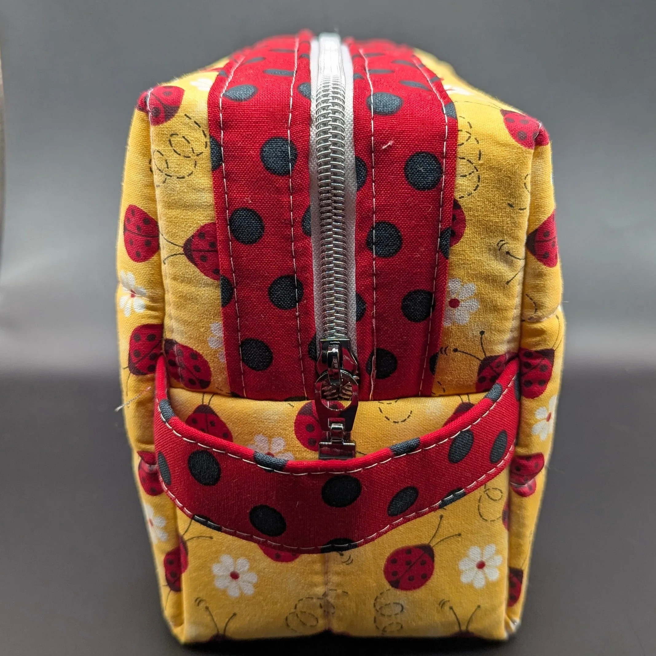 Lady Bug Boxy bag