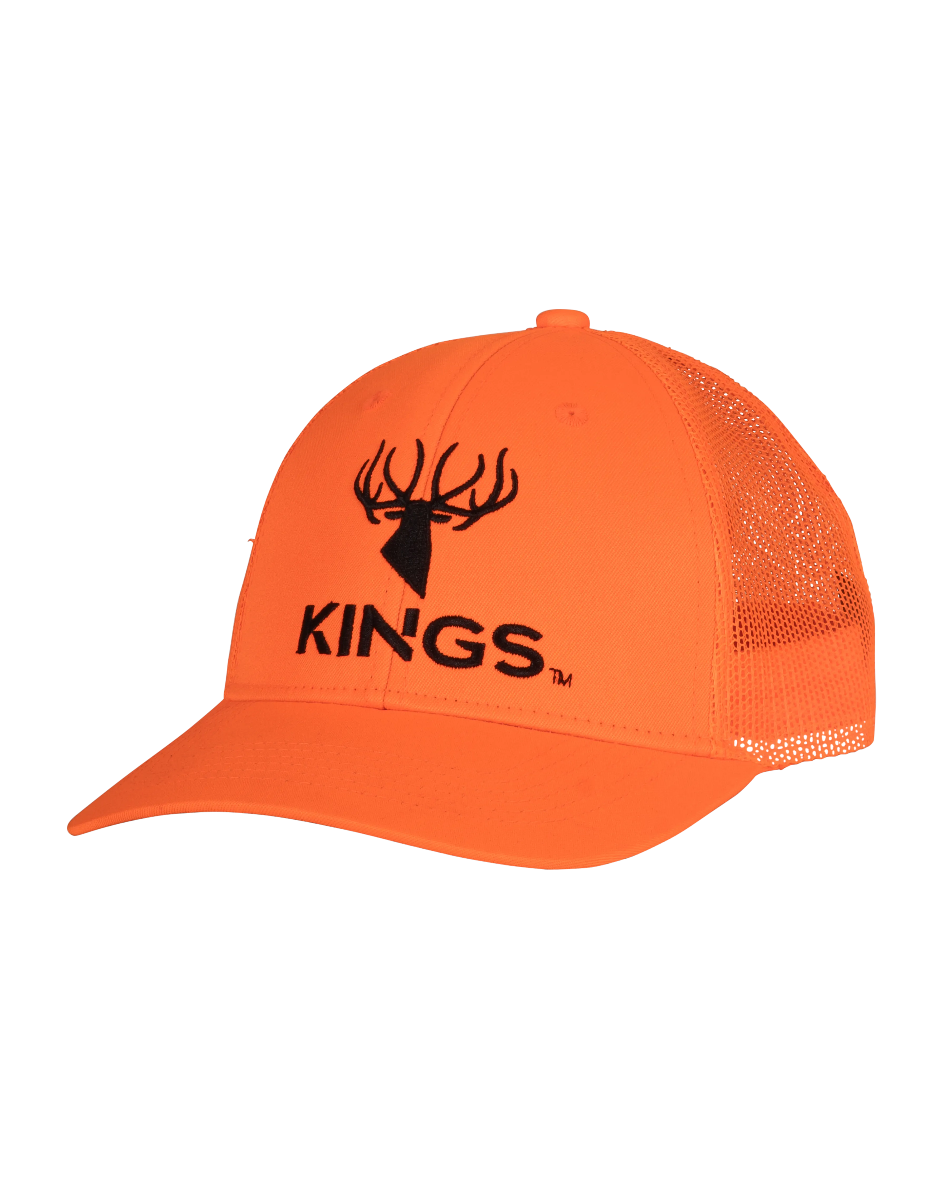 Logo Blaze Richardson Snapback Hat