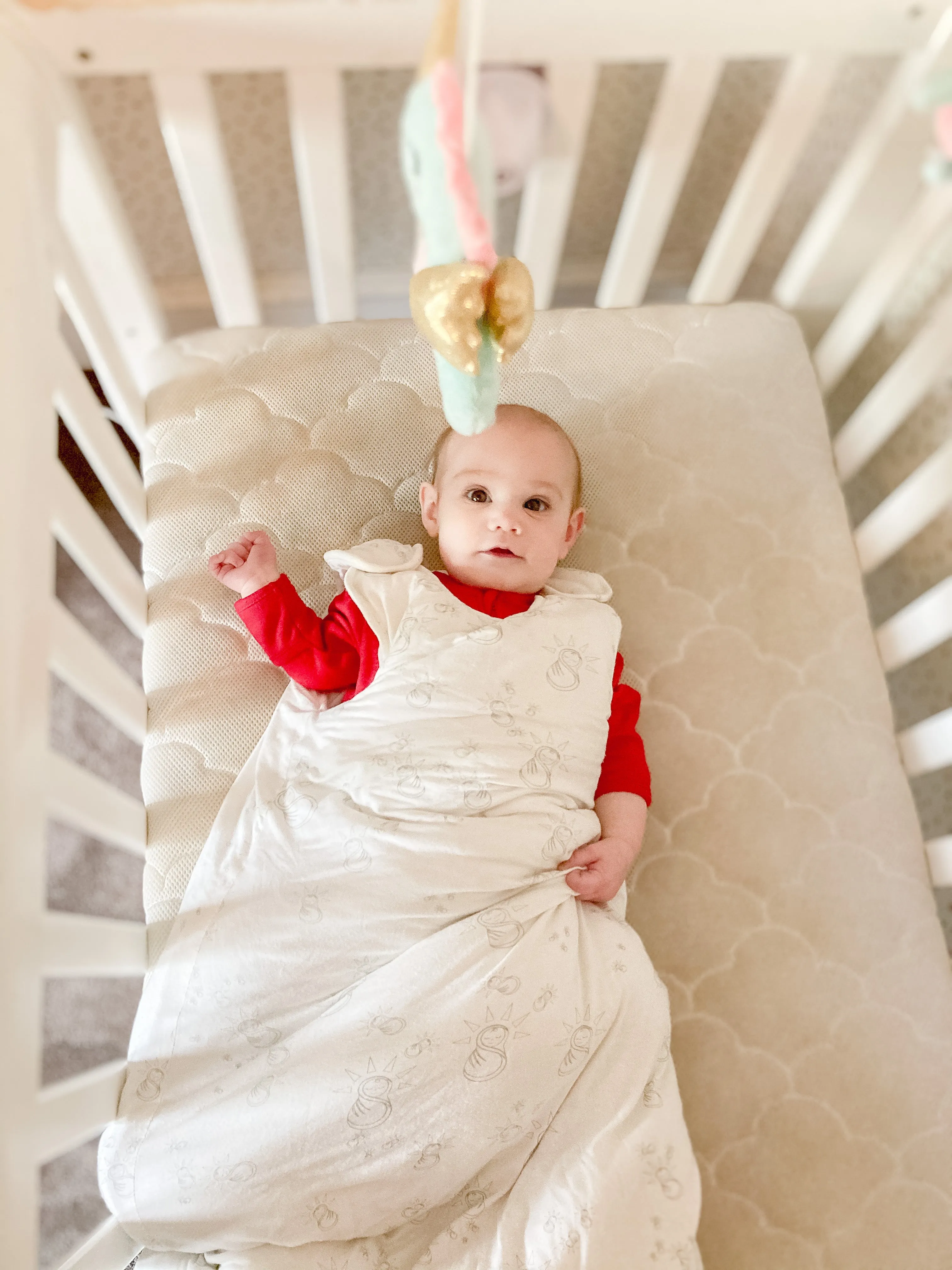 Ultra soft bamboo sleep sack / 6-18 month plush bamboo